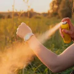 Perfumy na komary: Czy Twój zapach je odstraszy, czy przyciągnie?